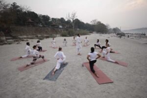 Yoga Teacher Training India